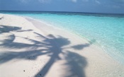 Maldive Islands, Shade Of Palm Trees