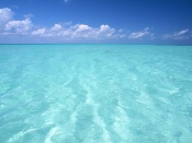 Maldives, Clear Water Of The Ocean