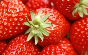 Juicy Strawberries