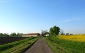 House In A Field