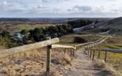 Wooden Steps