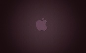 Apple Logo 1920x1200