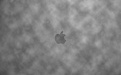 Apple Logo 1920x1200