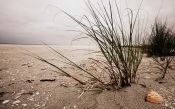 Overcast on the Beach