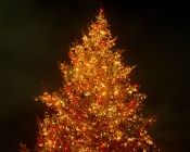 Christmas Tree Decorations at Night