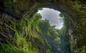 El Yunque National Forest, Puerto Rico