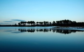 Winter Morning on the Lake