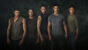 Wolves from the Movie the Twilight Saga