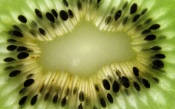 Macro Kiwi