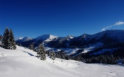 Winter Forest in the Mountains