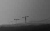 The Telegraph Poles in the Fog