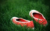 Red Shoes in the Grass
