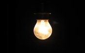 Light Bulb