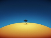 Lonely Tree in the Desert