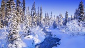 Banff National Park, Winter Creek, Canada