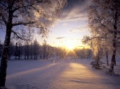 Fresh Fallen Snow, Arctic Valley