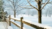 Fresh Fallen Snow, Kentucky