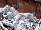 Frosted Rocks