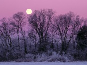 Full Moon over Edwin Warner Park