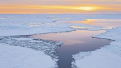 Icebergs at Dusk, Antarctica