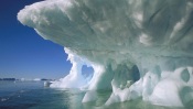 Petermann Island, Antarctic Peninsula, Antarctica