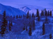 The Snow-Covered Mountain Chain