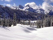 Beautiful Winter Landscape