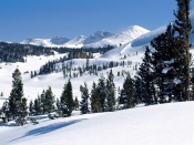 Tioga Pass, Yosemite National Park