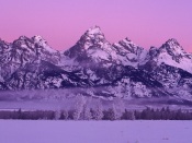 Winter Dawn, Grand Teton National Park