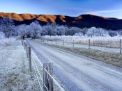 Winter Morning, Tennessee
