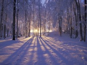 Winter Sunset, Alaska