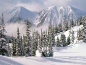 Winter Wonderland, Canada canada