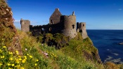 The Ruins of the Castle