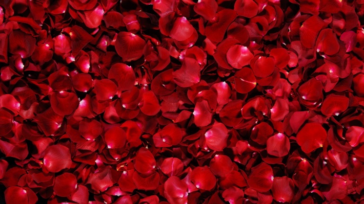 Rose Petals