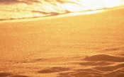 The Golden Sand . Hawaii