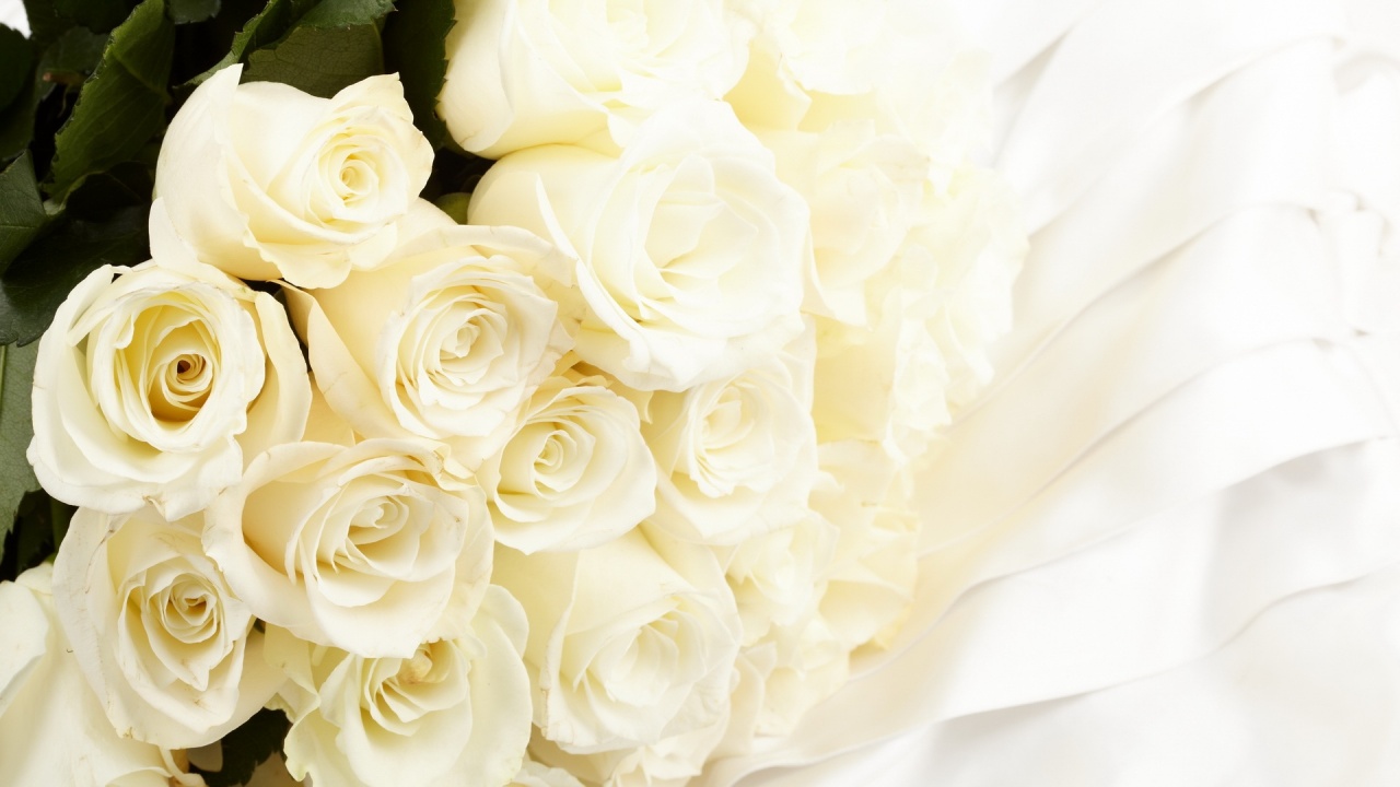 Bouquet of White Roses