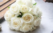 Wedding Bouquet of White Roses