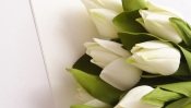White Tulips Bouquet, Artificials
