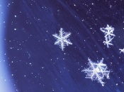 Snowflakes. Winter Magic
