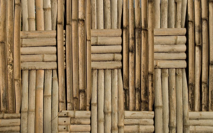 Bamboo Wall