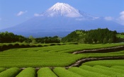 Fuji Mountain. Japan