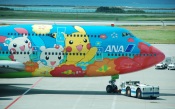 Painted Plane. Japan