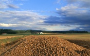 Potato Mountain. Japan