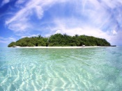 A Green Island in the Ocean