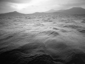 Black-And-White Photo of the Sea