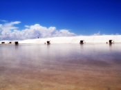 White Sands, New Mexico