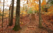 Stairs in the Autumn Forest