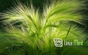 Linux Mint