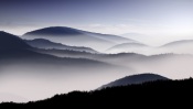 Misty Hills