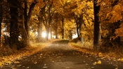 Road to Autumn